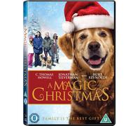 A Magic Christmas (DVD) C. Thomas Howell Jonathan Silverman Lisa Sheridan