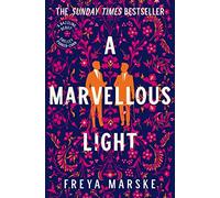 A Marvellous Light: A dazzling, queer romantic fantasy: 1