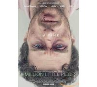 A Million Little Pieces (DVD)