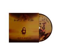 A Mind Too Sick To Heal