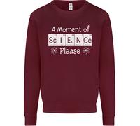 A Moment Of Science Please Funny Geek Uomo Sweatshirt Jumper
