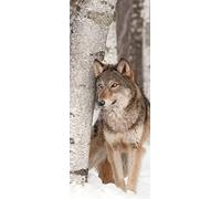 A.Monamour Adesivo Porta Autoadesiva 3D Il Lupo Grigio Si Trova Nella Neve Accanto A Un Tema Animale Di Betulla Vinile PVC Adesivi per Porte Interne Pellicola Adesiva Poster Sticker Murale Parete