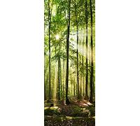 A.Monamour Adesivo Porta Autoadesiva Alba nel Paesaggio Naturale della Foresta Verde Vinile PVC Adesivi per Porte Interne 3D Pellicola Adesiva Poster Sticker Murale Parete Carta da Parati