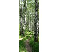 A.Monamour Adesivo Porta Autoadesiva Bosco Di Betulle Sentiero Stretto Paesaggio Naturale Vinile PVC Adesivi per Porte Interne 3D Pellicola Adesiva Poster Sticker Murale Parete Carta da Parati