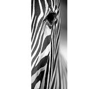 A.Monamour Adesivo Porta Autoadesiva Il Volto Di Una Zebra Monocromatica Di Grevy Vinile PVC Adesivi per Porte Interne 3D Pellicola Adesiva Poster Sticker Murale Parete Carta da Parati