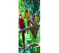 A.Monamour Adesivo Porta Autoadesiva Pappagalli Colorati Uccelli sul Ramo di Un Albero Vinile PVC Adesivi per Porte Interne 3D Pellicola Adesiva Poster Sticker Murale Parete Carta da Parati