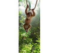 A.Monamour Adesivo Porta Autoadesiva Simpatico Cucciolo Di Orango Di Sumatra Appeso A Una Corda Nella Foresta Pluviale Vinile PVC Adesivi per Porte 3D Pellicola Adesiva Poster Sticker Murale Parete