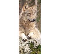 A.Monamour Adesivo Porta Autoadesiva Un Lupo Che Riposa nella Foresta Vinile PVC Adesivi per Porte Interne 3D Pellicola Adesiva Poster Sticker Murale Decorazione da Parete Carta da Parati