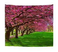 A.Monamour Arazzo da Parete Grande Prato Verde Sakura Ciliegi Lungo La Strada Al Parco Dei Prati Telo Arazzi Tappezzeria Decorazione da Parete per Soggiorno Camera da Letto Dormitorio 153x203cm