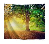 A.Monamour Arazzo da Parete Mandala Mattina Di Sole Luce Del Sole Brillante Attraverso La Foresta Di Alberi Nel Paesaggio Naturale Del Parco Telo Tessuto Tenda Tovaglia Arazzi Murale Decorazione