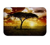 A.Monamour Tappetino per Il Bagno Antiscivolo Assorbente Morbido Africa Tramonto Cielo Nuvoloso Albero Solitario Prato Verde Animali Natura Paesaggio Tappeto Tappetini Doccia Cucina Zerbino 40x60cm