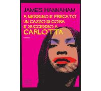 A nessuno è fregato un cazzo di cosa è successo a Carlotta - Hannaham James
