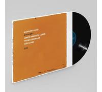 Giovanni Guidi, James Brandon Lewis, Thomas Morgan & Joao L A new day (Vinyl LP)