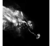 A New Life Part Ii - Lp (Vinile)