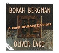 A New Organization by Borah Bergman