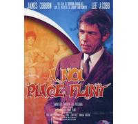 A noi piace Flint
