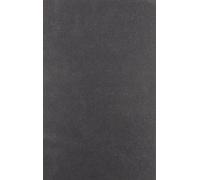 A. P. Thirlwall THE ECONOMICS OF GROWTH AND DEVELOPMENT (Copertina rigida)