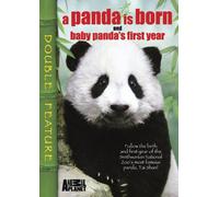 A Panda Is Born and Baby Panda's First Year