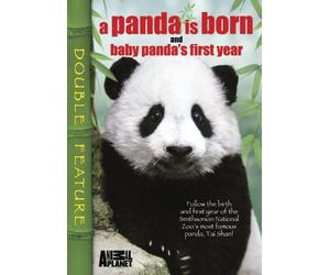 A Panda Is Born and Baby Panda's First Year