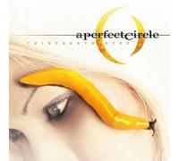 A Perfect Circle 'Thirteenth Step' 2LP 180g Vinile Nero - Nuovo e Sigillato