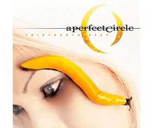 A Perfect Circle - Thirteenth Step