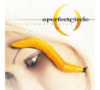 A Perfect Circle Thirteenth Step (Vinyl LP) 12" Album (Gatefold Cover)
