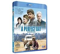 A perfect day