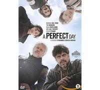 Drama - A Perfect Day – DVD