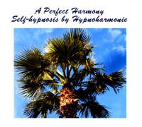 A Perfect Harmony (US Import)