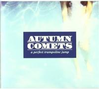 A Perfect Trampoline Jump