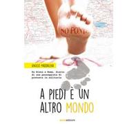 A piedi è un altro mondo. Da Siena a Roma, diario di una passeggiata di protesta in solitaria