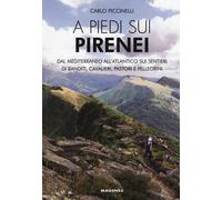 A piedi sui Pirenei. Dal Mediterraneo all'Atlantico sui sentieri di banditi, cavalieri, pastori e pellegrini