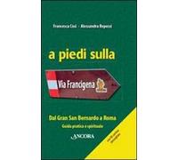 A piedi sulla via Francigena. Dal Gran San Bernardo a Roma. Guida pratica e spirituale