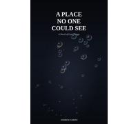 A Place No One Could See: A Novel of Lost Things