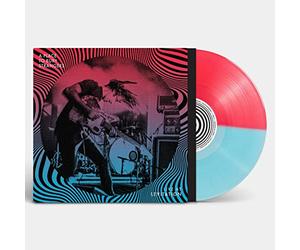 A Place to Bury Strangers - Live at Levitation