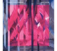 A Place To Bury Strangers - Transfixiation