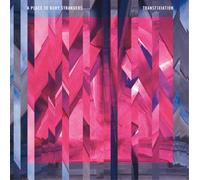 A Place to Bury Strangers Transfixiation Album