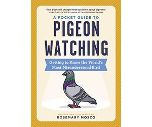 A Pocket Guide to Pigeon Watching: Getting to Know the World's Most Misunderstood Bird