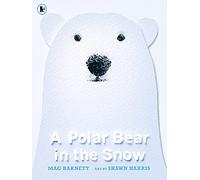 A Polar Bear in the Snow