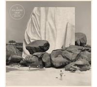 A Polaroid View - Zilch [Import]