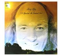 A Rainbow In A Curved Air
