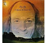 A Rainbow In Curved Air (180 Gram)
