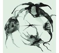 A Rift In the Horizon's Wall