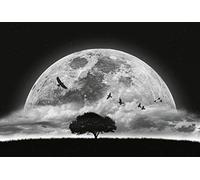 A.S. Création Carta da parati - Carta da parati “Night sky full moon” in nero, bianco e grigio - carta da parati per diverse stanze - carta da parati in tessuto non tessuto XXL 384 x 260 cm