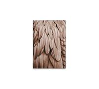 A.S. Création DD131866 - Stampa su tela con piume rosa, beige, 50 x 75 cm