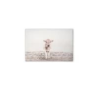 A.S. Création DD132250 - Stampa su tela con animali di mucca beige Cerme, colore: bianco, crema, 70 x 50 cm