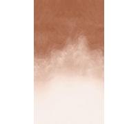 A.S. Création Vibes & Styles 792164 - Carta da parati in tessuto non tessuto, atmosfera calda con botanica, geometria e effetto 3D, effetto vinile, gradiente, acquerello, 1,59 m x 2,80 m, marrone