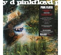 Pink Floyd A Saucerful Of Secrets (Vinyl LP)