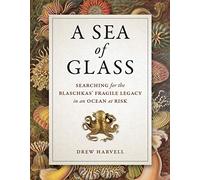 A Sea of Glass: Searching for the Blaschkas' Fragile Legacy in an Ocean at Risk: 13