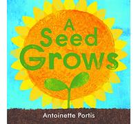 A seed grows